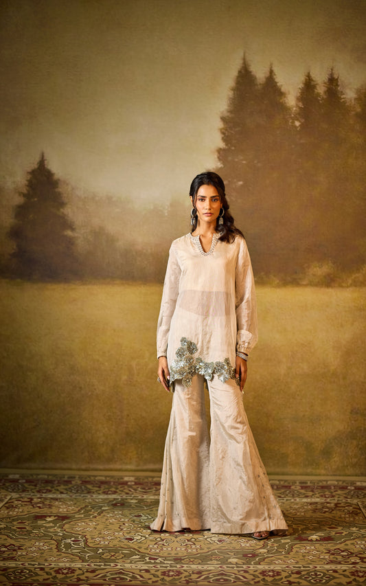 Shaam Draped Shrarara Set